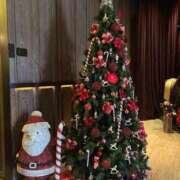 ヒメ日記 2025/11/30 23:43 投稿 あん Versailles