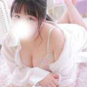 ヒメ日記 2025/01/23 06:30 投稿 ひな 池袋ぱんぷきん（シンデレラグループ）