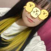 ひな 出勤しました? 池袋ぱんぷきん（シンデレラグループ）