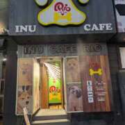 ヒメ日記 2025/01/13 09:58 投稿 ゆみこ 性腺熟女100％（デリヘル市場）