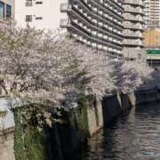 ヒメ日記 2026/04/13 13:46 投稿 ゆみこ 性腺熟女100％本店（デリヘル市場）