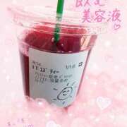 ヒメ日記 2026/06/11 08:38 投稿 森 こむぎ 夜這い調教クラブ本店