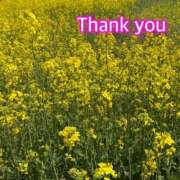 ヒメ日記 2025/05/01 10:33 投稿 ひすい One More 奥様　錦糸町店