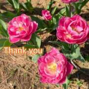 ヒメ日記 2025/05/22 15:34 投稿 ひすい One More 奥様　錦糸町店