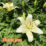 ヒメ日記 2025/06/12 20:43 投稿 ひすい One More 奥様　錦糸町店