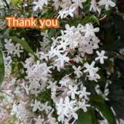 ヒメ日記 2025/06/29 13:19 投稿 ひすい One More 奥様　錦糸町店