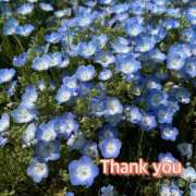 ヒメ日記 2025/07/17 16:53 投稿 ひすい One More 奥様　錦糸町店