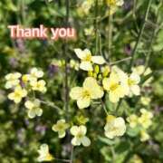 ヒメ日記 2025/08/20 14:53 投稿 ひすい One More 奥様　錦糸町店