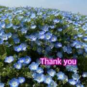 ヒメ日記 2025/08/20 15:48 投稿 ひすい One More 奥様　錦糸町店