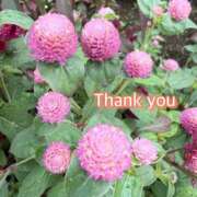 ヒメ日記 2025/11/20 10:12 投稿 ひすい One More 奥様　錦糸町店