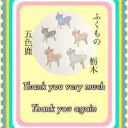 ヒメ日記 2025/12/02 17:51 投稿 ひすい One More 奥様　錦糸町店