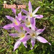 ヒメ日記 2025/12/23 12:33 投稿 ひすい One More 奥様　錦糸町店