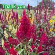 ヒメ日記 2025/12/23 12:35 投稿 ひすい One More 奥様　錦糸町店