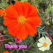 ヒメ日記 2025/12/23 12:53 投稿 ひすい One More 奥様　錦糸町店