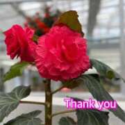 ヒメ日記 2026/04/14 16:13 投稿 ひすい One More 奥様　錦糸町店