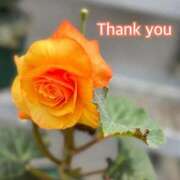 ヒメ日記 2026/04/14 16:23 投稿 ひすい One More 奥様　錦糸町店