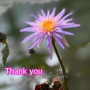 ヒメ日記 2026/04/14 16:26 投稿 ひすい One More 奥様　錦糸町店