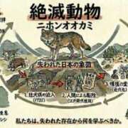 ヒメ日記 2026/05/18 19:05 投稿 ひすい One More 奥様　錦糸町店