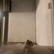 ヒメ日記 2025/06/27 12:33 投稿 みゆ ぽっちゃり巨乳素人専門 埼玉越谷ちゃんこ