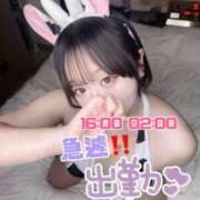 ヒメ日記 2025/08/10 12:04 投稿 みゆ ぽっちゃり巨乳素人専門 埼玉越谷ちゃんこ