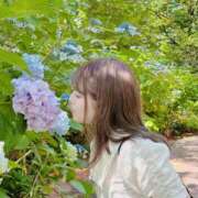 ヒメ日記 2025/01/22 08:00 投稿 ゆい カワサキEROTIC（ソープランド）