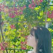 ヒメ日記 2025/02/27 08:00 投稿 ゆい カワサキEROTIC（ソープランド）