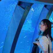 ヒメ日記 2025/05/08 08:01 投稿 ゆい カワサキEROTIC（ソープランド）