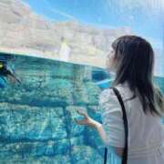 ヒメ日記 2025/05/24 08:01 投稿 ゆい カワサキEROTIC（ソープランド）