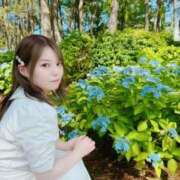 ヒメ日記 2025/06/17 08:01 投稿 ゆい カワサキEROTIC（ソープランド）