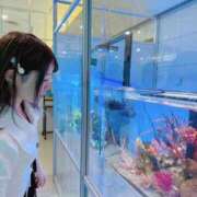 ヒメ日記 2025/08/05 08:01 投稿 ゆい カワサキEROTIC（ソープランド）