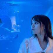 ヒメ日記 2025/08/14 08:18 投稿 ゆい カワサキEROTIC（ソープランド）