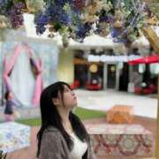 ヒメ日記 2026/04/01 08:01 投稿 ゆい カワサキEROTIC（ソープランド）