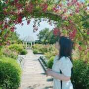 ヒメ日記 2026/04/18 00:30 投稿 ゆい カワサキEROTIC（ソープランド）