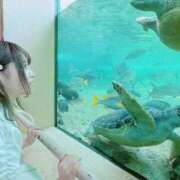ヒメ日記 2026/04/23 09:06 投稿 ゆい カワサキEROTIC（ソープランド）