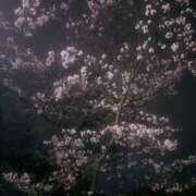 ヒメ日記 2026/04/06 22:33 投稿 もえこ もしも素敵な妻が指輪をはずしたら・・・カーラ