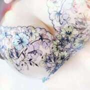 ヒメ日記 2025/03/17 05:10 投稿 まいか 熟女総本店 堺東店