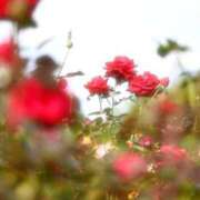 ヒメ日記 2025/06/07 13:34 投稿 黒井 熟女の風俗最終章 横浜本店