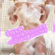 ヒメ日記 2025/07/29 23:08 投稿 白井琴音 五十路マダム 浜松店(カサブランカグループ)