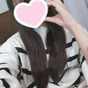 ヒメ日記 2024/12/16 18:31 投稿 ヒナタ エピソード(品川)