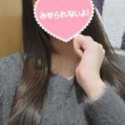 ヒメ日記 2025/01/24 21:31 投稿 ヒナタ エピソード(品川)