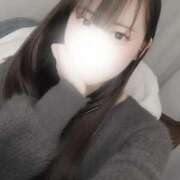 ヒメ日記 2025/03/29 15:46 投稿 ヒナタ エピソード(品川)