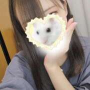 ヒメ日記 2025/05/18 05:31 投稿 ヒナタ エピソード(品川)