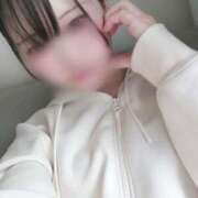 ヒメ日記 2025/06/07 16:46 投稿 ヒナタ エピソード(品川)