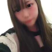 ヒメ日記 2025/12/17 01:46 投稿 ヒナタ エピソード(品川)