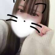 ヒメ日記 2025/12/30 19:46 投稿 ヒナタ エピソード(品川)