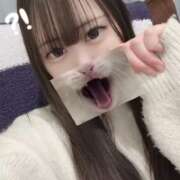 ヒメ日記 2026/01/16 19:16 投稿 ヒナタ エピソード(品川)