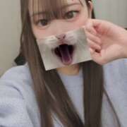 ヒメ日記 2026/02/22 20:16 投稿 ヒナタ エピソード(品川)