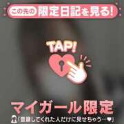 ヒメ日記 2026/04/19 03:46 投稿 ヒナタ エピソード(品川)