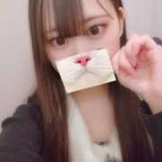 ヒメ日記 2026/05/01 20:31 投稿 ヒナタ エピソード(品川)