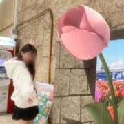 ヒメ日記 2026/05/19 18:01 投稿 ヒナタ エピソード(品川)
